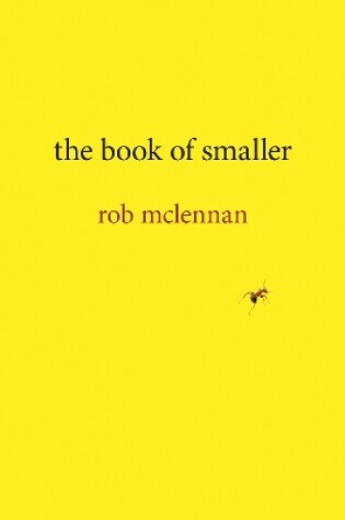 Cover of the book of smaller