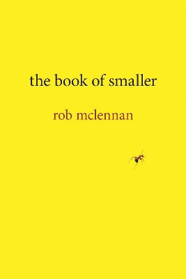 Book cover for the book of smaller