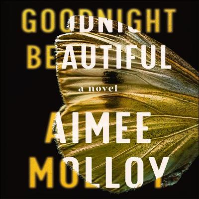 Book cover for Goodnight, Beautiful