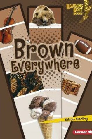 Cover of Brown Everywhere