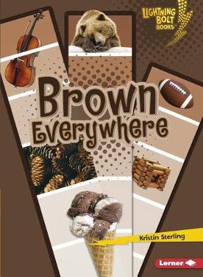 Book cover for Brown Everywhere