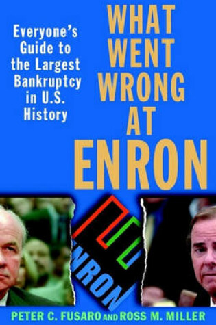 Cover of What Went Wrong at Enron