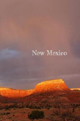 Cover of New Mexico