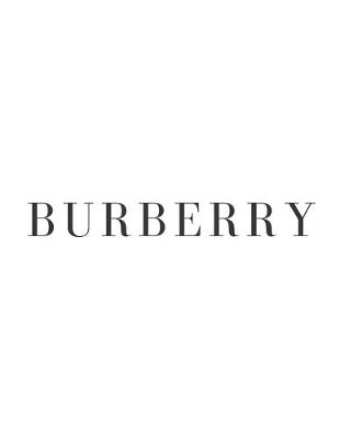 Book cover for Burberry