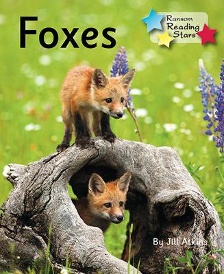 Book cover for Foxes