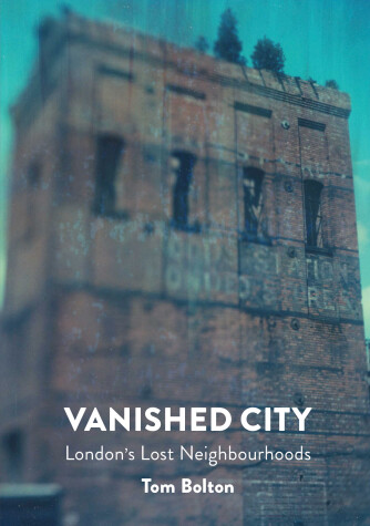 Book cover for The Vanished City