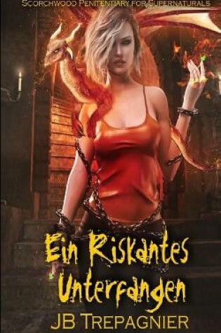 Cover of Ein Riskantes Unterfangen