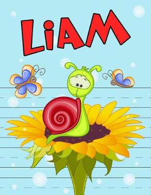 Book cover for Liam