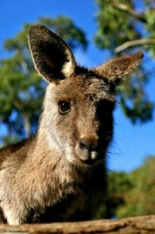 Cover of Curious Kangaroo Has It's Eyes on You Journal