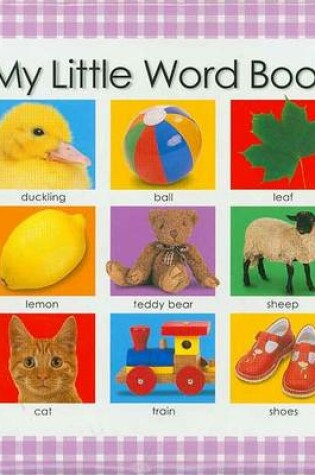 Cover of Playtime Learning: My Little Word