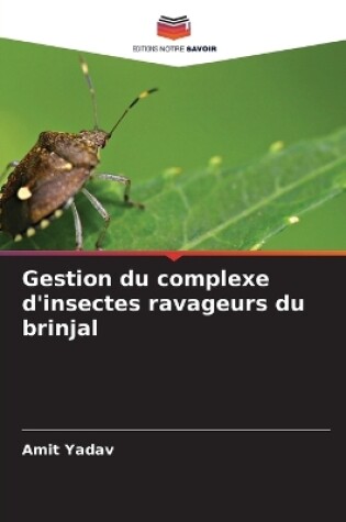 Cover of Gestion du complexe d'insectes ravageurs du brinjal