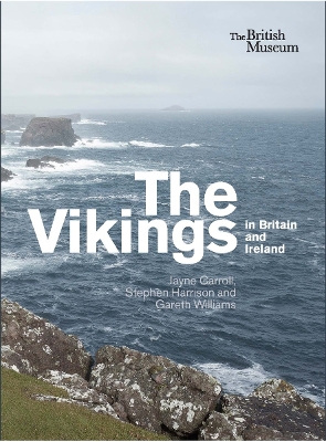 Book cover for The Vikings in Britain and Ireland