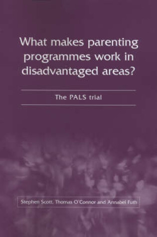 Cover of What Makes Parenting Programmes Work in Disadvantaged Areas?