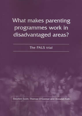 Book cover for What Makes Parenting Programmes Work in Disadvantaged Areas?