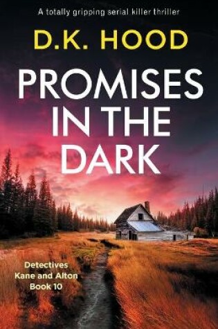 Cover of Promises in the Dark