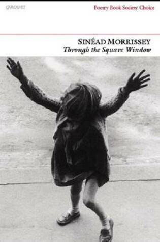 Cover of Through the Square Window