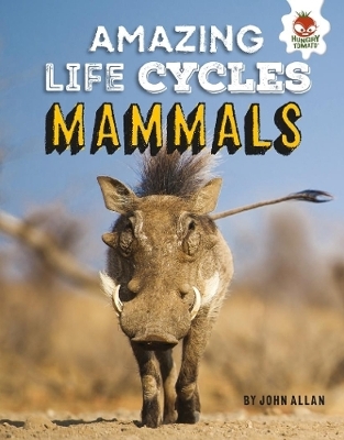 Book cover for Amazing Life Cycles- Mammals