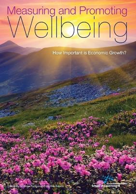 Cover of Measuring and Promoting Wellbeing