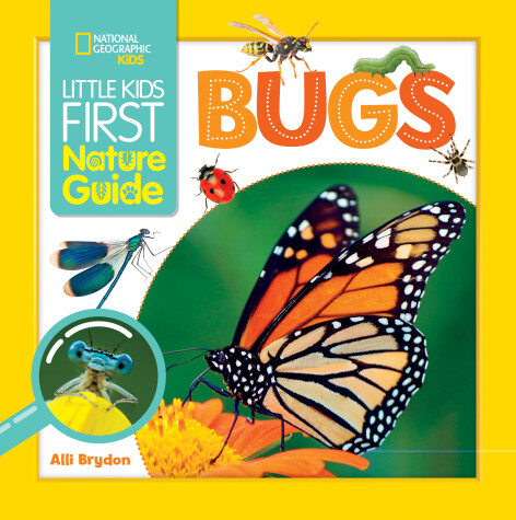 Cover of Little Kids First Nature Guide Bugs