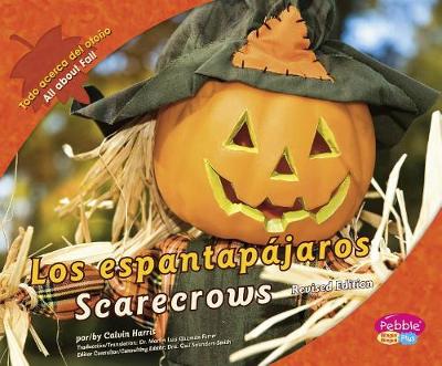 Cover of Espantapájaros/Scarecrows