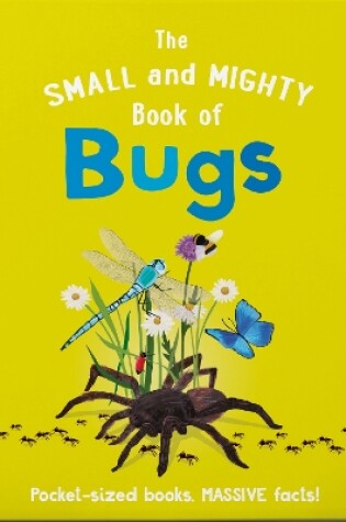 Cover of The Small and Mighty Book of Bugs