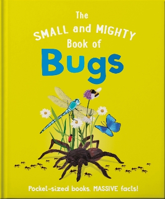 Book cover for The Small and Mighty Book of Bugs