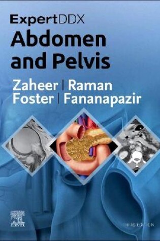 Cover of Abdomen and Pelvis E-Book