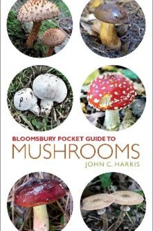 Cover of Pocket Guide to Mushrooms