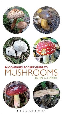 Book cover for Pocket Guide to Mushrooms