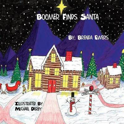 Book cover for Boomer Finds Santa