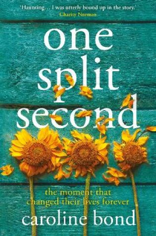 Cover of One Split Second