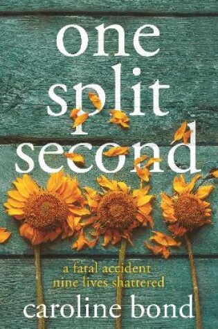 Cover of One Split Second