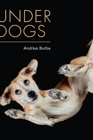 Cover of Under Dogs