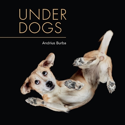 Book cover for Under Dogs