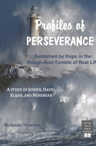 Cover of Profiles of Perseverance