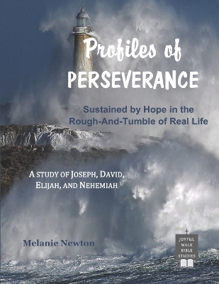 Book cover for Profiles of Perseverance