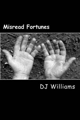 Book cover for Misread Fortunes