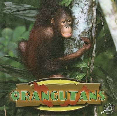 Book cover for Orangutans