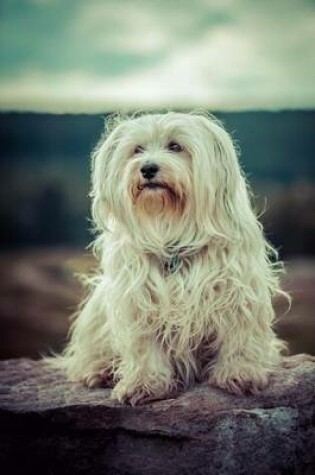 Cover of A Cuddly Havanese Dog Journal