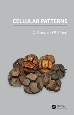 Cover of Cellular Patterns