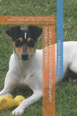 Book cover for Como Lidiar Con Un Perro Bodeguero Andaluz Hiperactivo