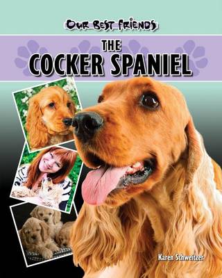 Book cover for Cocker Spaniel