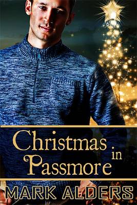 Book cover for Christmas in Passmore