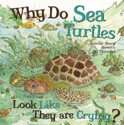 Book cover for Why Do Sea Turtles Look Like They are Crying?