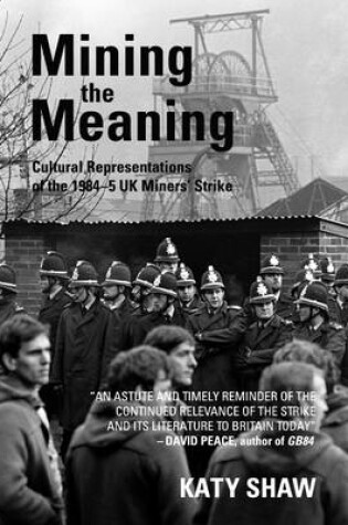 Cover of Mining the Meaning