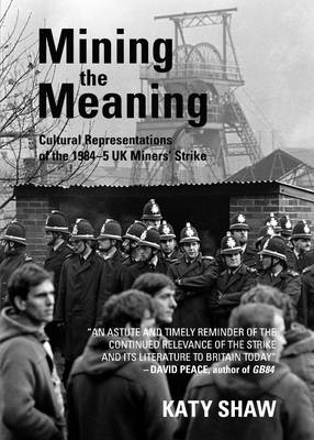 Cover of Mining the Meaning