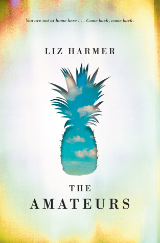 Book cover for The Amateurs