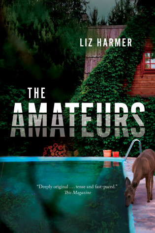 Cover of The Amateurs