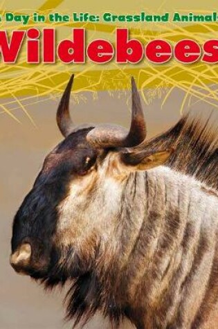 Cover of Wildebeest