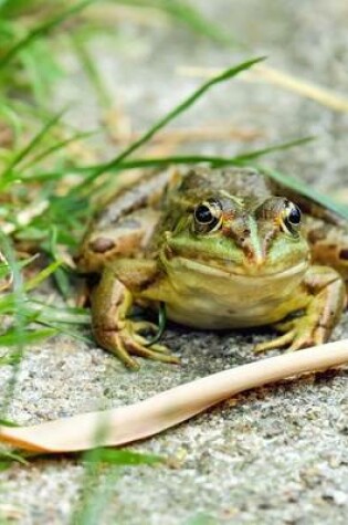 Cover of Frog in the Garden Journal